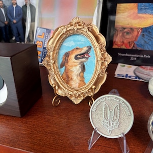 Schotland added a photo of their purchase