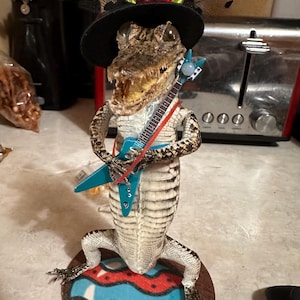 Trevor added a photo of their purchase