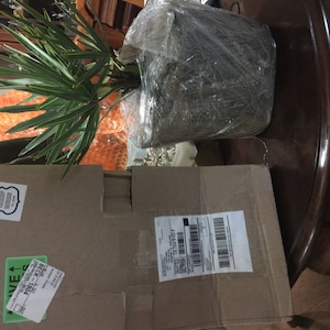 Nora a ajouté une photo de son achat