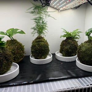 Jessica heeft een foto van zijn/haar aankoop toegevoegd