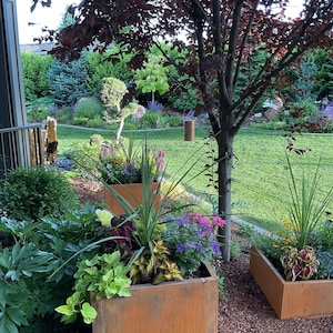 Susan added a photo of their purchase