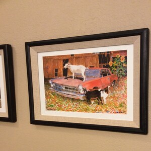 Goat Art Prints, 1965 Pontiac GTO, Sunflowers, Barn, Signed and ...