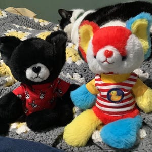 Rachel added a photo of their purchase