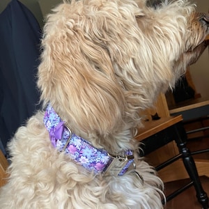 Connie added a photo of their purchase