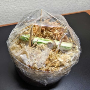 Catherine adicionaram uma foto da sua compra