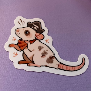 Pirat Sticker / Cute Pirate Rat Stickers / Rodent Sticker - Etsy