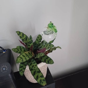 Nic added a photo of their purchase