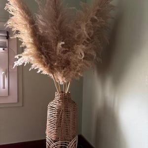 Camille added a photo of their purchase