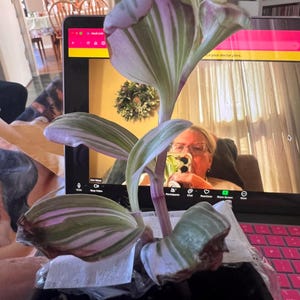 Kim adicionaram uma foto da sua compra