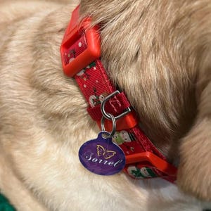 Dixie added a photo of their purchase
