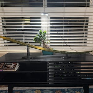 Adam added a photo of their purchase