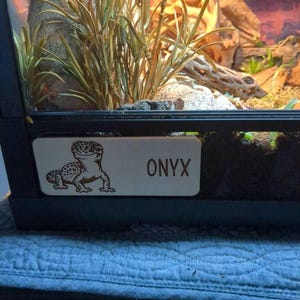 Kirsten added a photo of their purchase