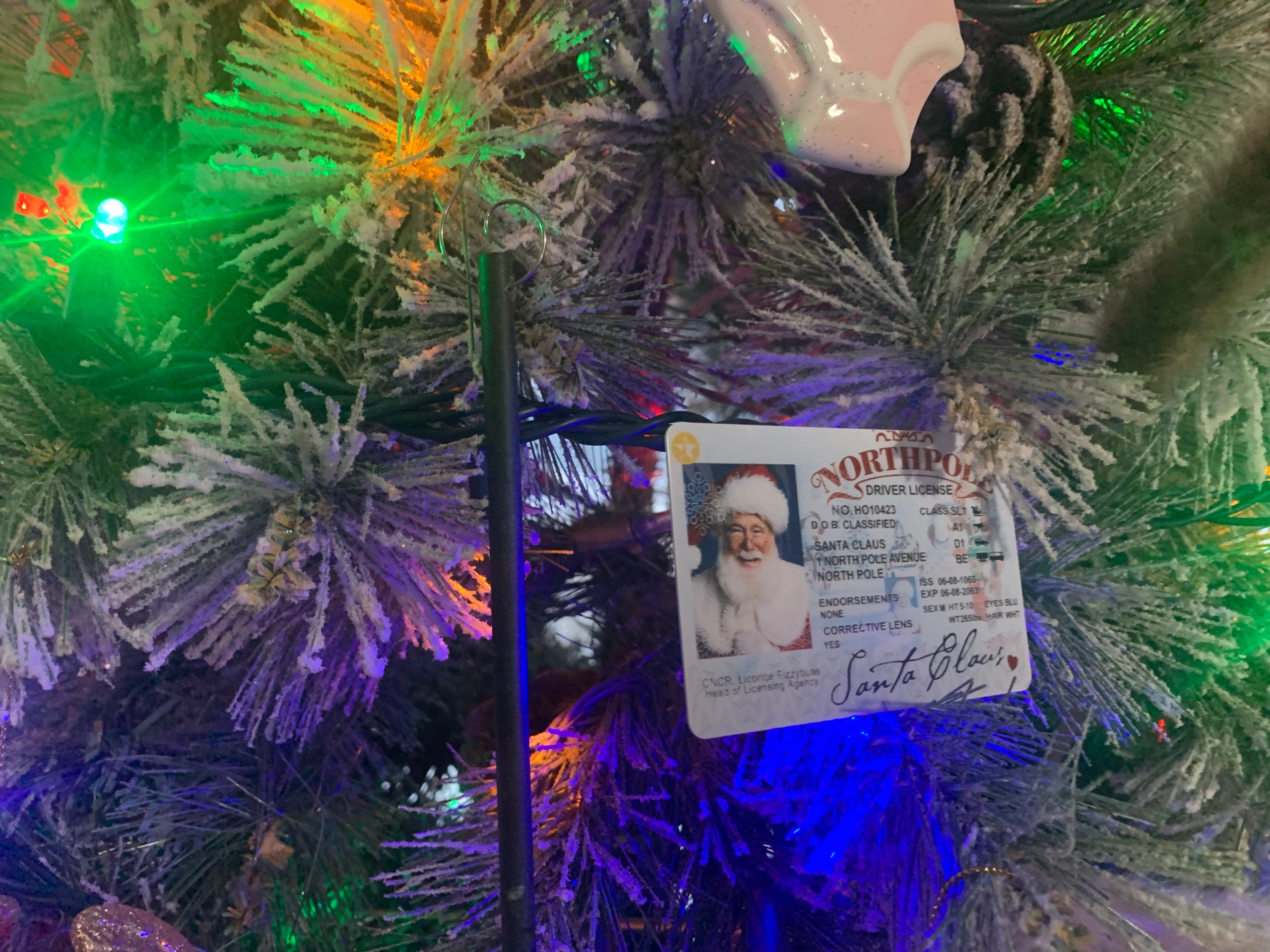 Santa&#39;s Sleigh / Lost Driving License/ Santa License / Santa Driving License / Santa sack / Christmas decorations