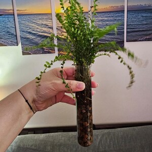 Paola added a photo of their purchase