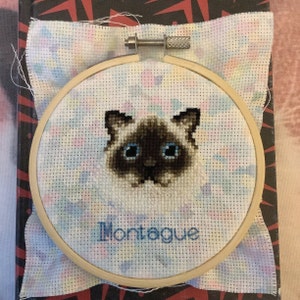 PANNA Red Cross Stitch Kit, Aida, Squirrel With A Nut