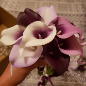 Judy added a photo of their purchase