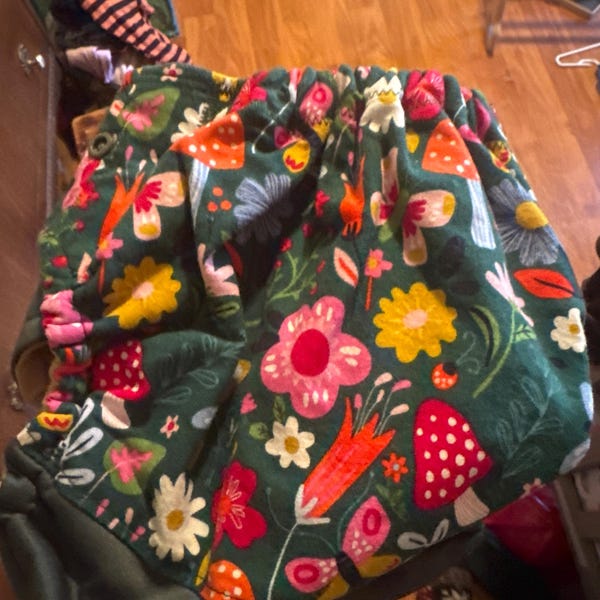 Cloth Diaper Sassycloth One Size Pocket Diaper With Mushrooms and ...