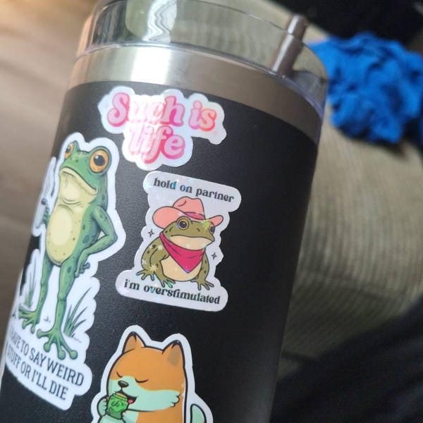 Hold on Partner I'm Overstimulated Sticker Cowboy Frog Sticker – Funny ...