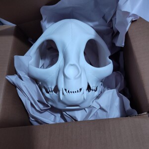 Cat Skull Bone Mask - Movable Moving Hinge Articulating Jaw- 3D