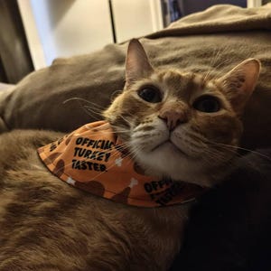 Shleelee added a photo of their purchase