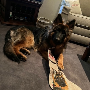 Kelsey added a photo of their purchase