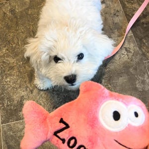 Jenna added a photo of their purchase