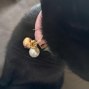 Patty added a photo of their purchase