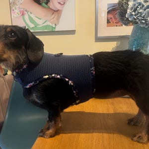 Wendy added a photo of their purchase