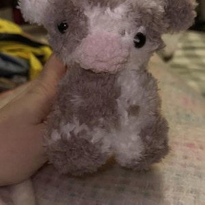 Lauren added a photo of their purchase