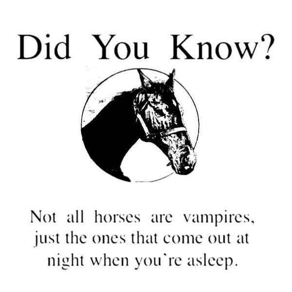 Riri Teeth Open End Puller Vislon Zip, For Jacket At Rs 13/piece In