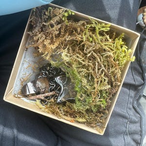 Shelby added a photo of their purchase