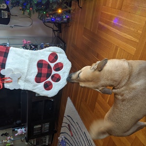 Ayla added a photo of their purchase