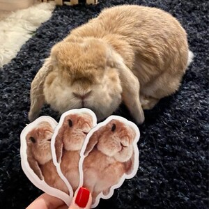 Bei added a photo of their purchase