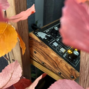 Moog Minitaur & Sirin Wooden Side Panels / Synthesizer Stand