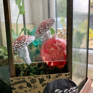 Tina added a photo of their purchase