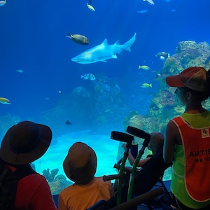 Abbey ha añadido una foto de su compra