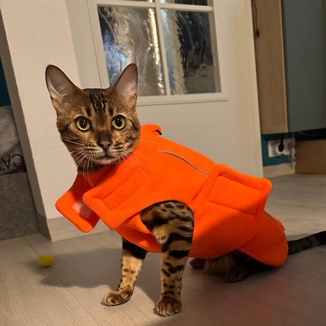 Warm Polar Fleece Cat Jacket: Reflective Winter Vest - Etsy