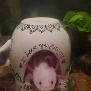 Axolotl Tank Hide Etsy Axolotl Tank Hide Etsy