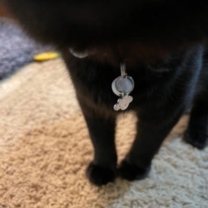 Ashlyn added a photo of their purchase
