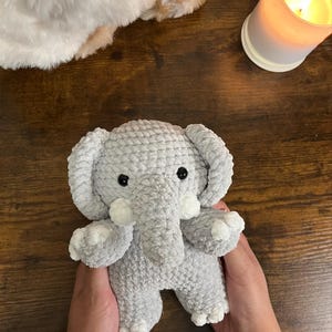 Elisa added a photo of their purchase