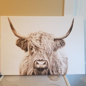 heather added a photo of their purchase