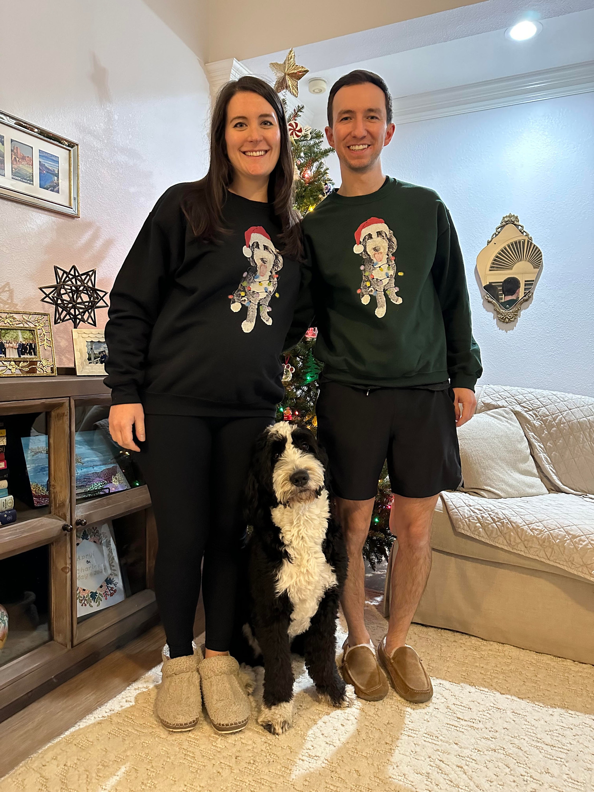 Custom Dog Sweatshirt, Holiday gift for Dog Lovers, Holiday Pet Crewneck, Personalized dog Christmas sweater, Custom Pet Illustration