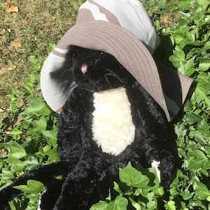 Suzanne added a photo of their purchase