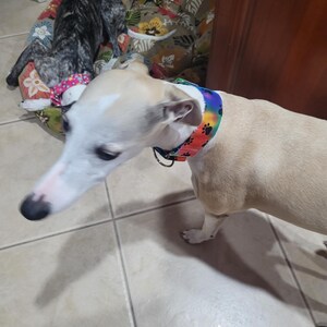 Wendy ha añadido una foto de su compra