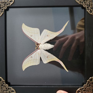 Anna added a photo of their purchase