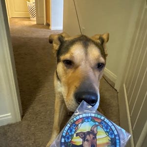 Chick added a photo of their purchase