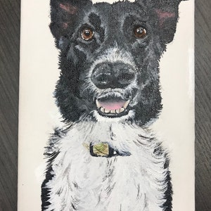 Dana added a photo of their purchase