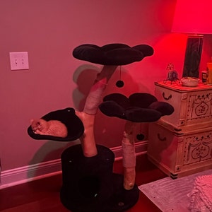 Stefani added a photo of their purchase