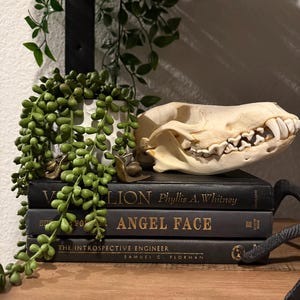 Amber hat ein Foto des gekauften Artikels hinzugefügt