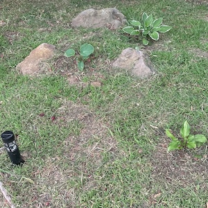 Susan added a photo of their purchase
